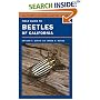 Field Guide to Beetles of California (California Natural History Guides)
