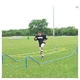 High Step Agility Trainer
