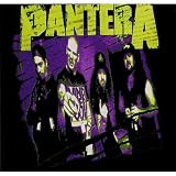 Pantera - You Want Some Decal - Sticker