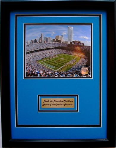 NFL Carolina Panthers Bank of America Stadium Framed Portrait Photo with Nameplate