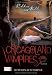 Chicagoland Vampires 3: Mitter