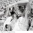 Vespertine Ltd Cd