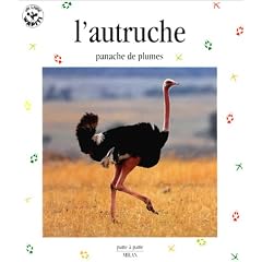 L'Autruche : Panache de plumes