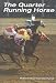 The Quarter Horse Running: America's Oldest Breed
