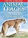 Animal Tracks of Northern California (Animal Tracks Guides)
