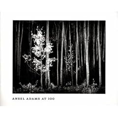 Ansel Adams at 100