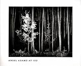 Ansel Adams at 100