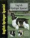 English Springer Spaniel (Dog Breed Book)