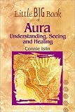 Little Big Book of Aura: Understanding, Seeing and Healing (Little Big Book Series)
