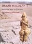 Sha'ar Hagolan I: Neolithic Art in Context