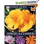 Shrubs & Climbers (DK Garden Guides)