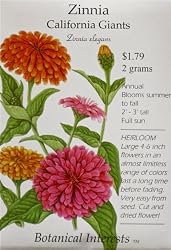 Zinnia California Giant Heirloom Seeds