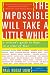 The Impossible Will Take a Little While: A Citizen's Guide to Hope in a Time of Fear