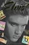 Elvis!: An Illustrated Guide to New and Vintage Collectibles