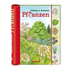 Verkleinerte Titelseite von Entdecken & Bestimmen: Pflanzen