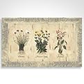 Mohawk Home Herb Garden Comfort Mat - (20x30")