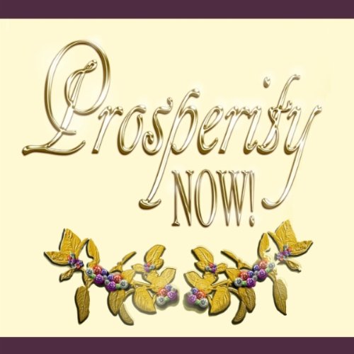 Prosperity NOW! Audio Book