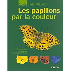 Les Papillons par la couleur