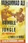 The Rumble in the Jungle [VHS]