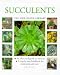 Succulents (New Plant Library) by Terry Hewitt ISBN 1859676375