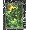 Sourcebooks for Vampire Games in the Dark Ages Part I