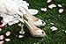 Heels Above High Heel Protectors (2 Pairs) Plus Bonus Carrying Pouch - Never Sink into Grass Again.