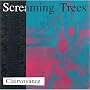 Clairvoyance von Screaming Trees