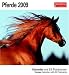 Pferde 2009. Kalender mit 53 heraustrennbaren Postkarten