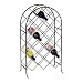 Spectrum Diversified 48510CAT Trellis Bottle Wine Rack, Black
