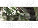 Jigsaw of CJ1282 from Garden World Images