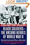 Fighting for America: Black Soldiers-the Unsung Heroes of World War II