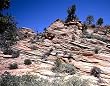 Mountain Strata and Wildflowers, Zion National Park, Utah Photograph - Beautiful 16x20-inch Photographic Print by Carol M. Highsmith