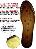 悪臭防衛隊 足がムレて臭いが気になる方必見!!特殊シートが靴のいやなにおいをシャットアウト!