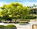 Design mit Pflanzen - Moderne Architektur im Garten