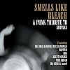 Smells Like Bleach: Tribute to Nirvana