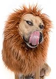 Lion Mane Costume and Big Dog Lion Mane Wig - Large Dog Costumes by Pet Krewe