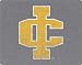 Ithaca College Distressed Logo skin for Fender Stratocaster Pickguard