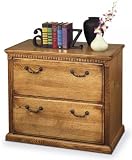 Kathy Ireland Home by Martin Furniture Huntington Oxford Lateral 2 Drawer Wood File Storage Cabinet in Wheat