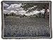Field of Texas Bluebonnet Flowers Tapestry Throw Blanket 50