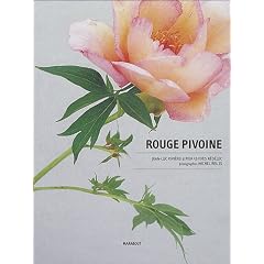 Rouge pivoine