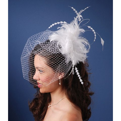 Darice VL122W Birdcage Wedding Veil Headpiece with Feather Accent, White