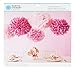 Martha Stewart Crafts Pom Poms, Pink, 2 Sizes