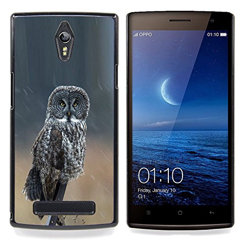 SKCASE Center / Hard Skin Case Cover Pouch - Ornithology Wings Nature Summer - OPPO Find 7 X9077 X9007