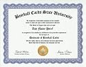 Baseball Cards Collecting Collector Degree: Custom Gag Diploma Doctorate Certificate (Funny Customized Joke Gift - Novelty Item)