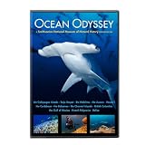 Ocean Odyssey