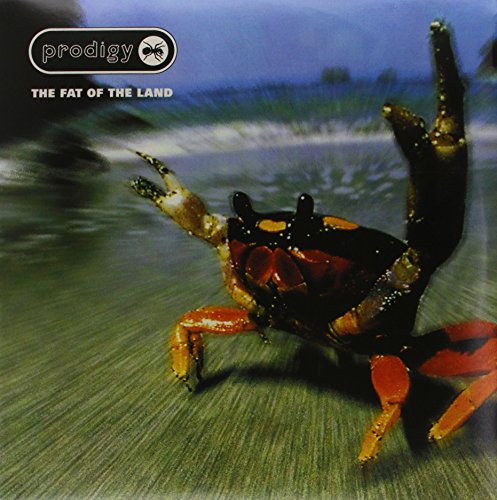 The Prodigy - Babys got a temper BEST2002 - Zortam Music