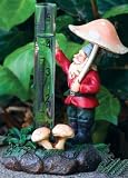 Pointing Gnome Rain Gauge