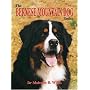 The Bernese Mountain Dog Today (Book of the Breed S)