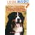 The Bernese Mountain Dog Today (Book of the Breed S)