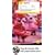 Teach Yourself Tagalog [With CD (Audio)] (Teach Yourself (McGraw-Hill))